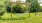 Outside hammock in large yard
