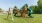 Park outside with slides and swings