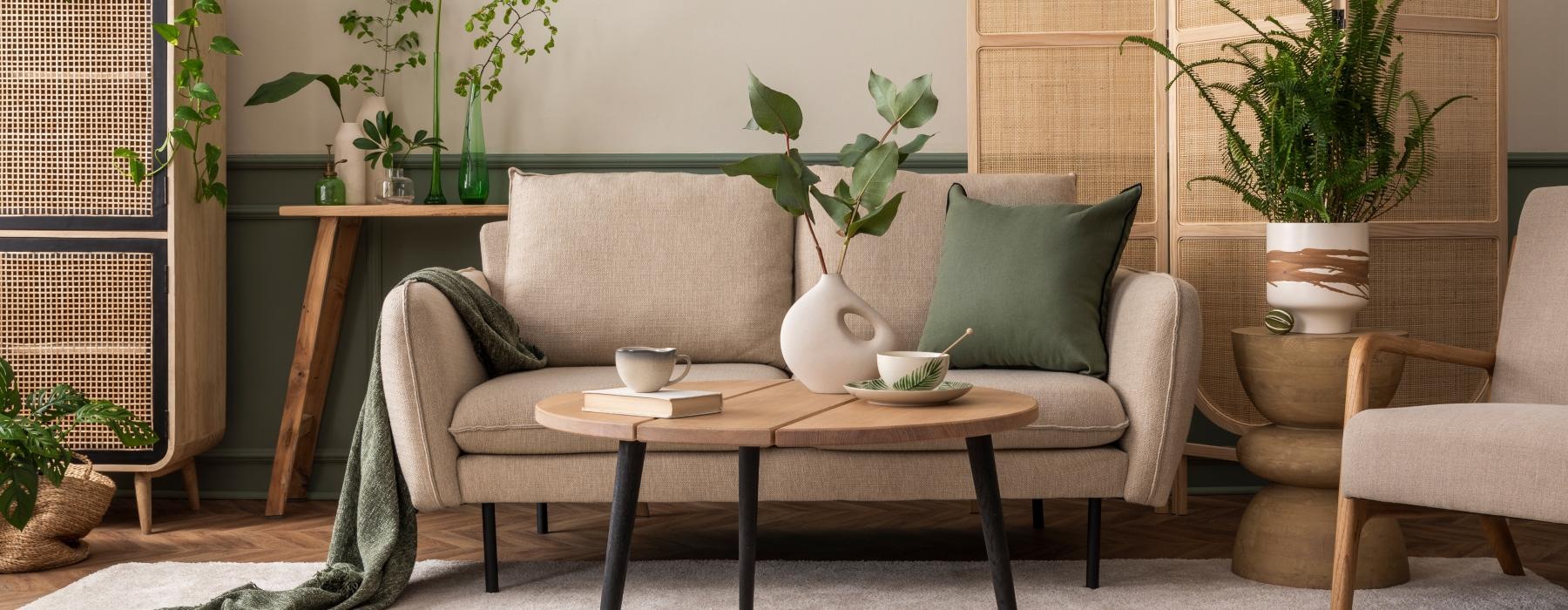 furnished living room with plants
